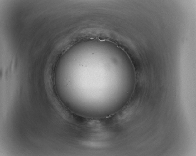 X0000113871489200910011101