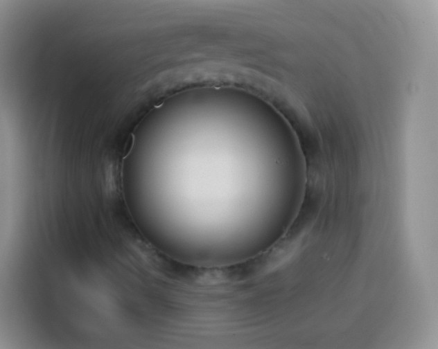 X0000113871490200910011102