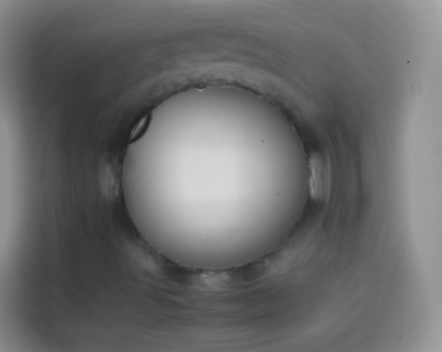 X0000113871491200910011102