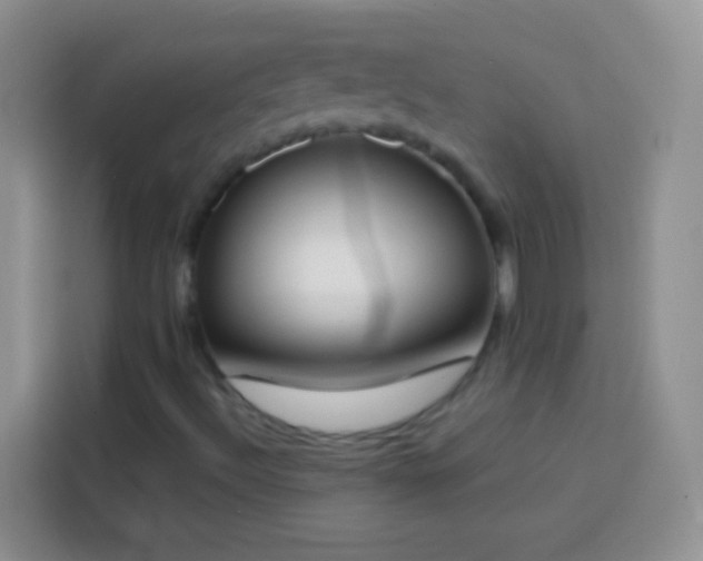 X0000113871492200910011102