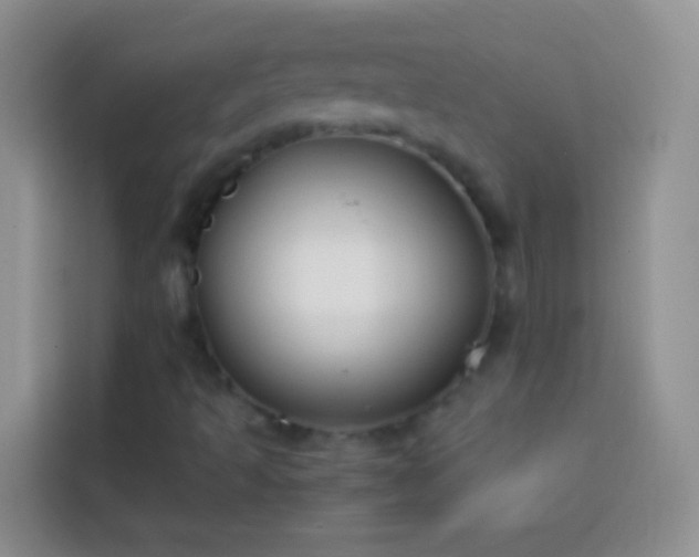 X0000113871493200910011102