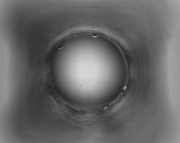 X0000113871494200910011102