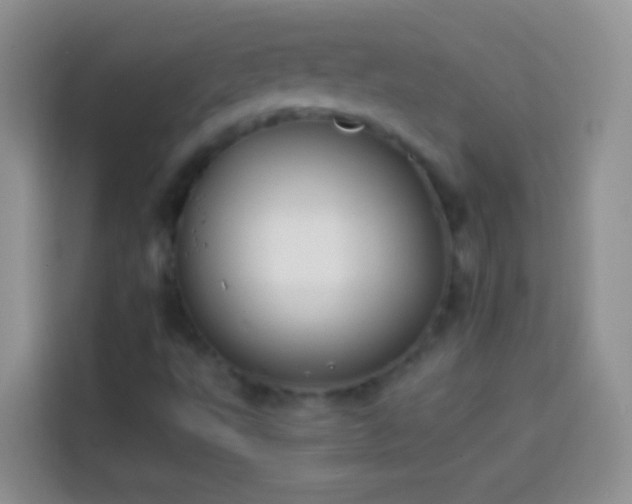 X0000113871495200910011102