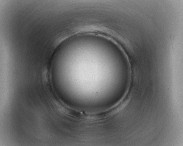 X0000113871497200910011102