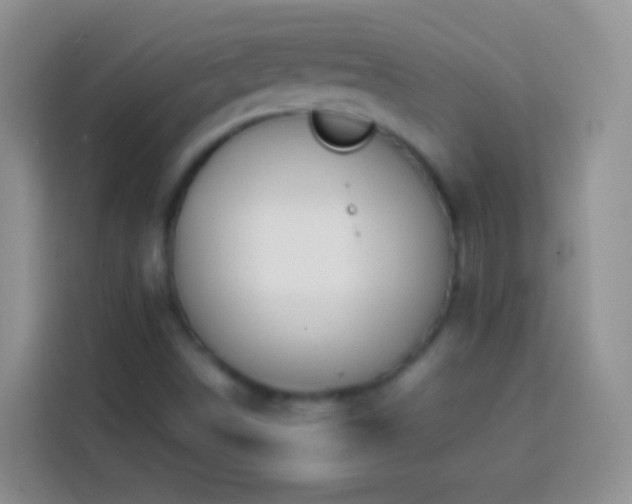 X0000113871498200910011102