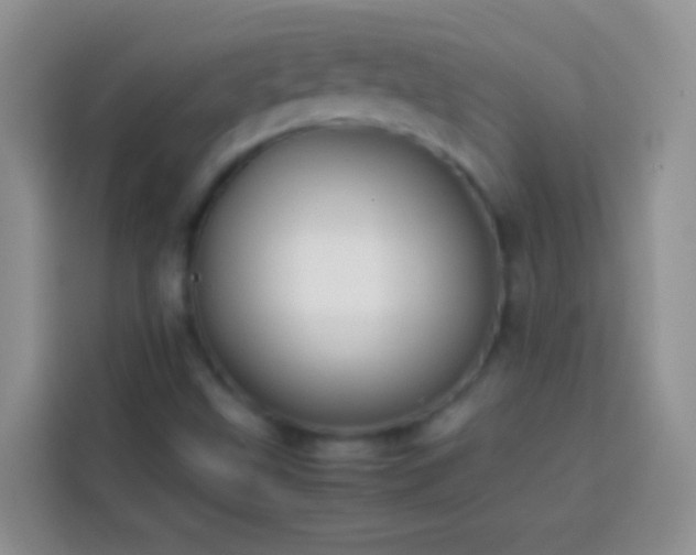 X0000113871499200910011102