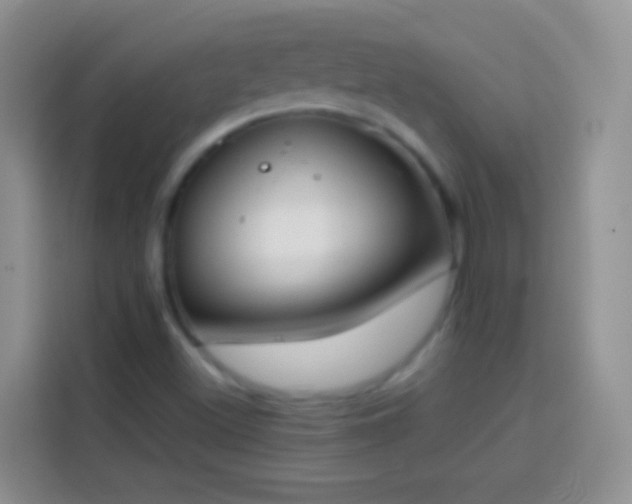 X0000113871500200910011102