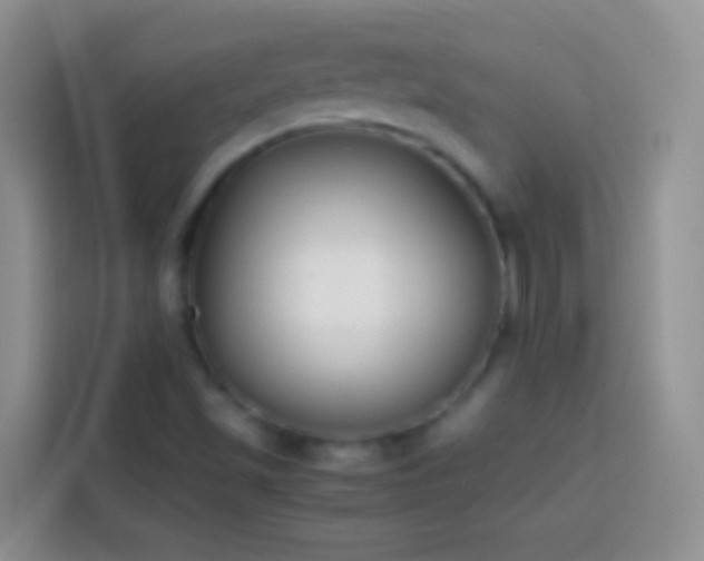 X0000113871501200910011102