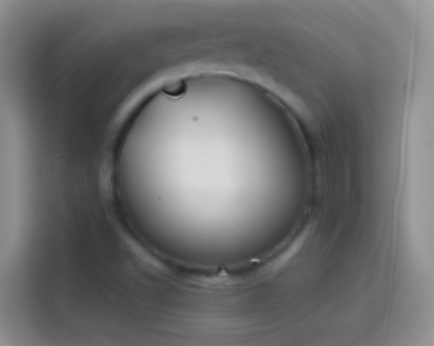 X0000113871502200910011102