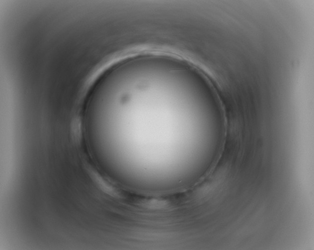 X0000113871503200910011102