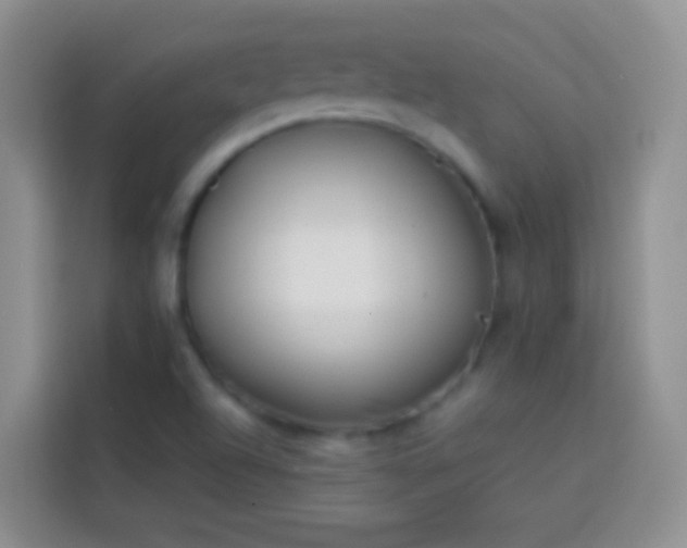 X0000113871504200910011102