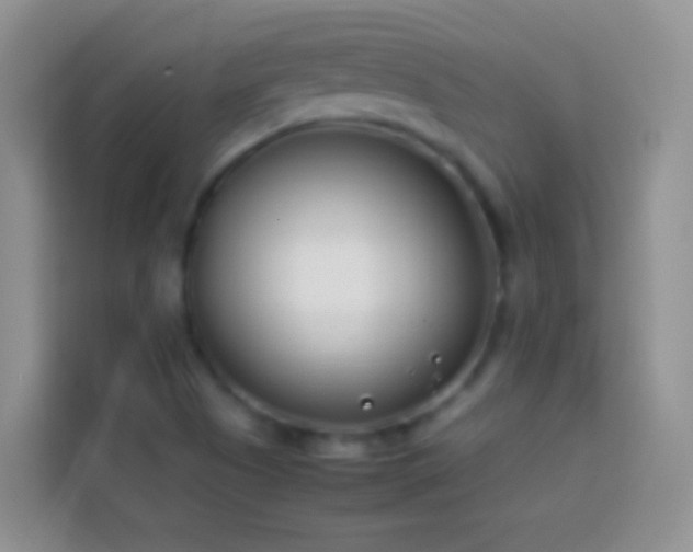 X0000113871505200910011102