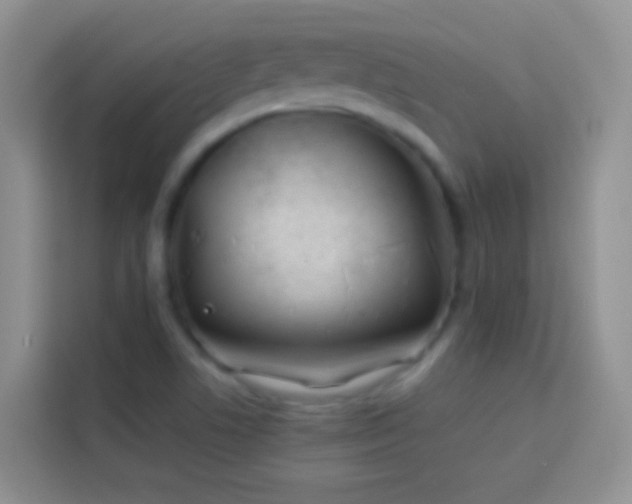 X0000113871506200910011102