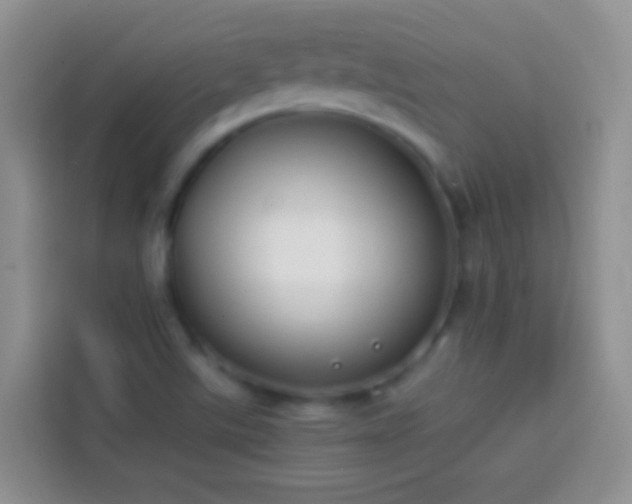 X0000113871507200910011102