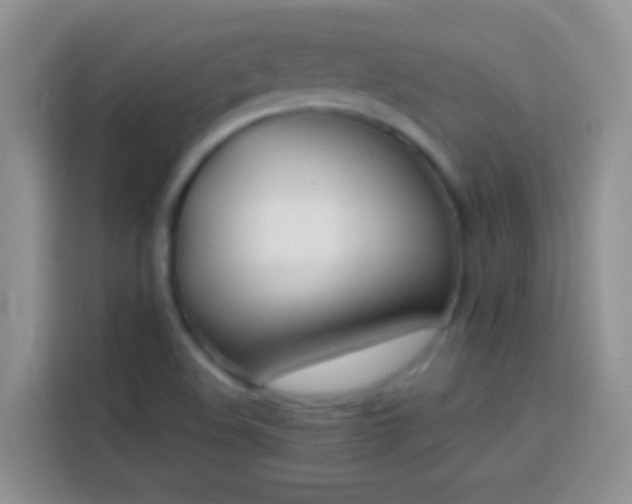 X0000113871508200910011102