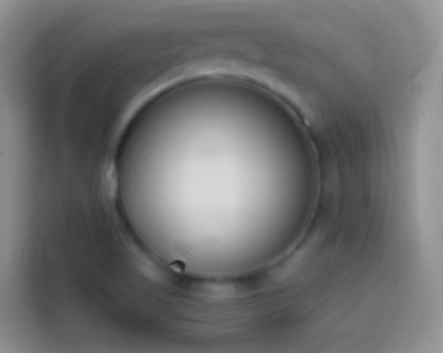 X0000113871509200910011102