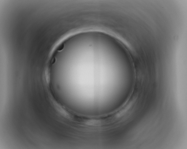 X0000113871510200910011102