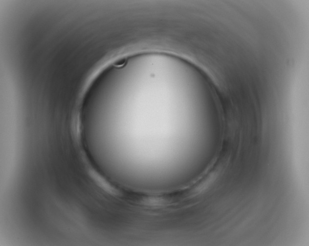 X0000113871511200910011102