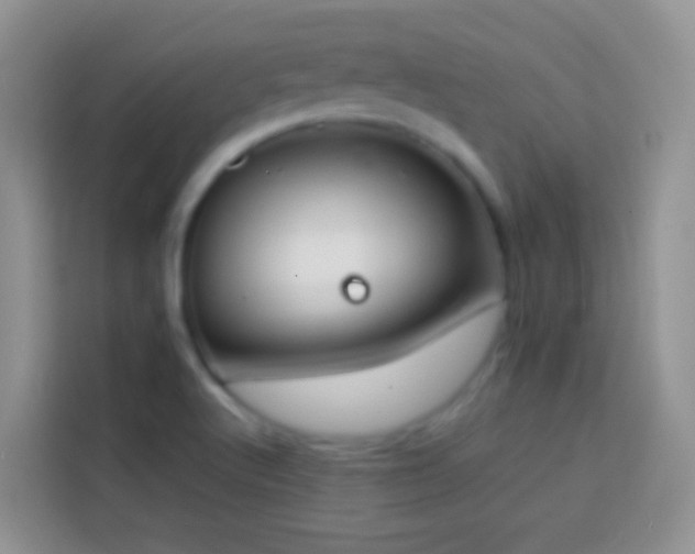 X0000113871512200910011102