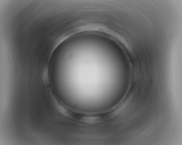 X0000113871513200910011102