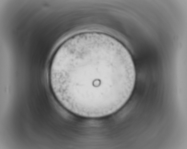 X0000113871514200910011102