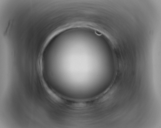 X0000113871515200910011102