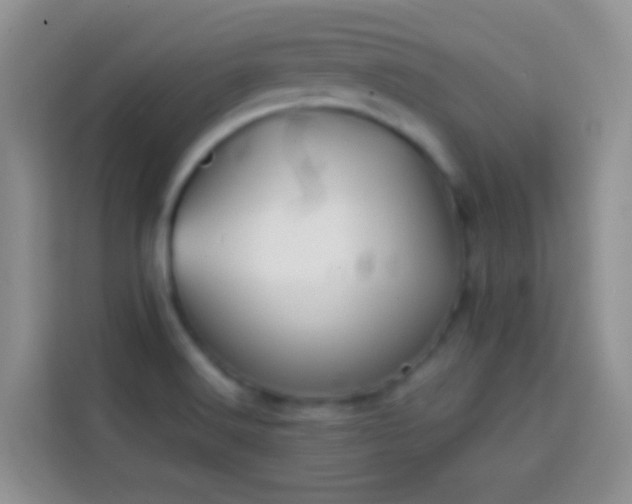 X0000113871516200910011102