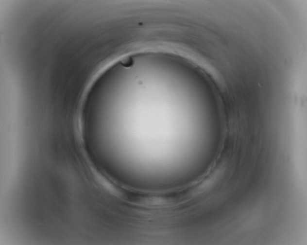 X0000113871517200910011102