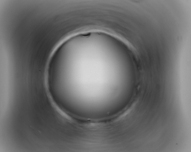 X0000113871518200910011102