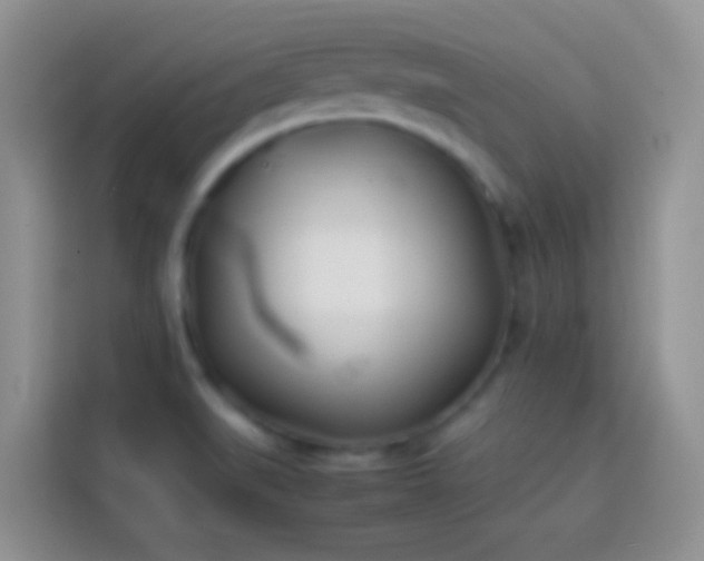 X0000113871519200910011102