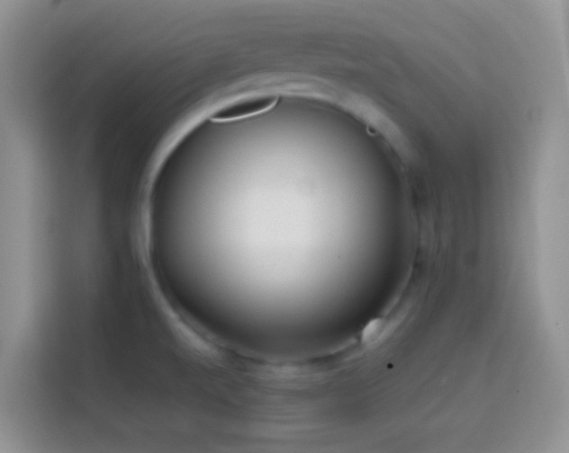 X0000113871520200910011102