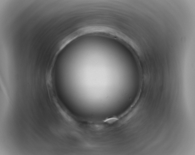 X0000113871521200910011102