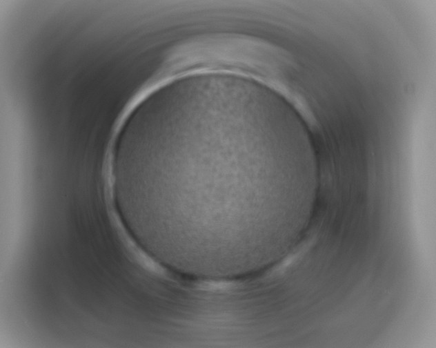 X0000113871522200910011102