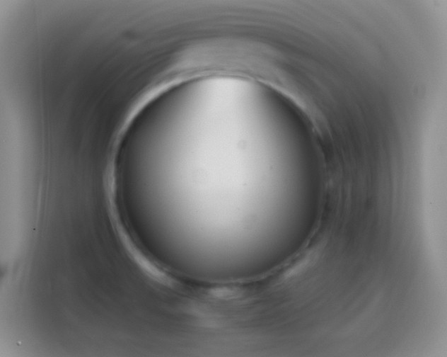 X0000113871523200910011102