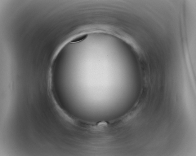 X0000113871524200910011102