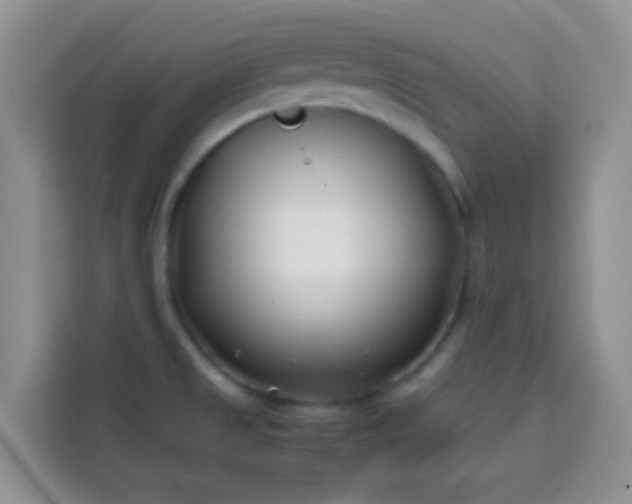 X0000113871525200910011102