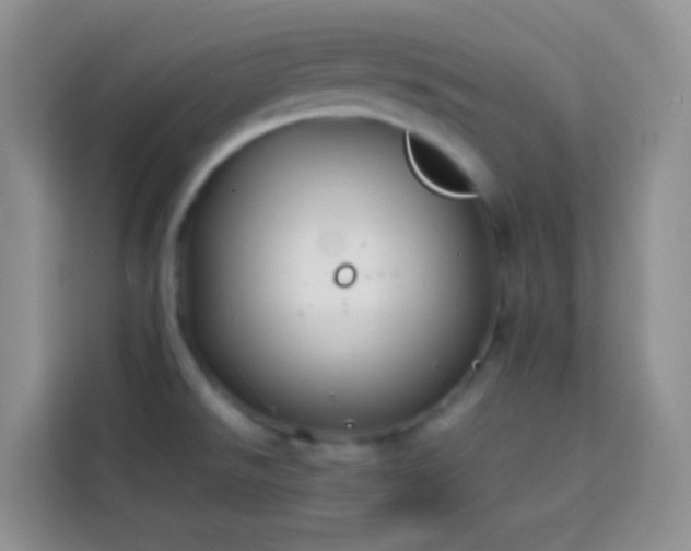 X0000113871526200910011102