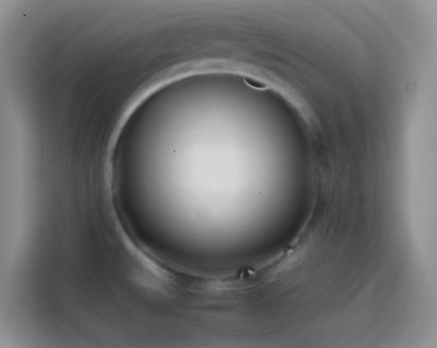 X0000113871527200910011102