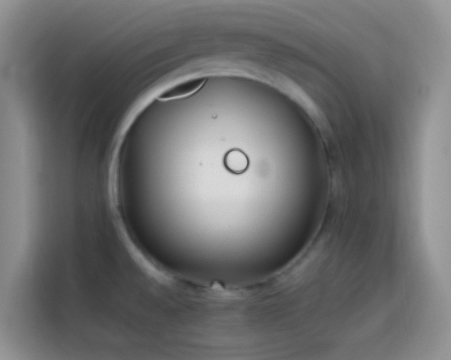 X0000113871528200910011102