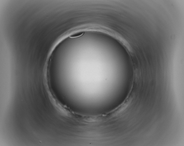 X0000113871530200910011102