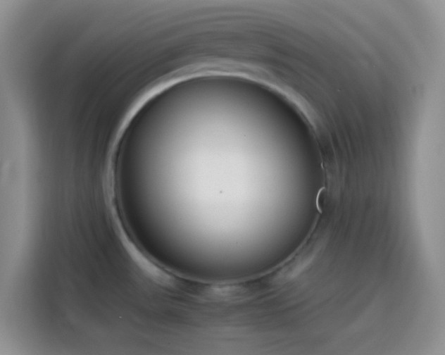 X0000113871531200910011102