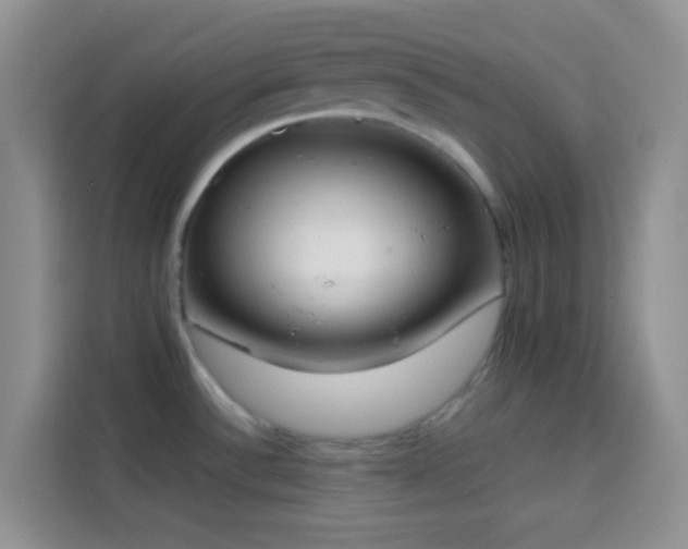 X0000113871532200910011102