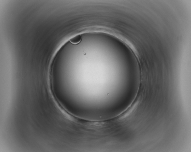 X0000113871533200910011102