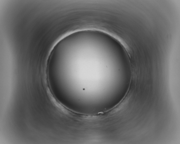 X0000113871534200910011102