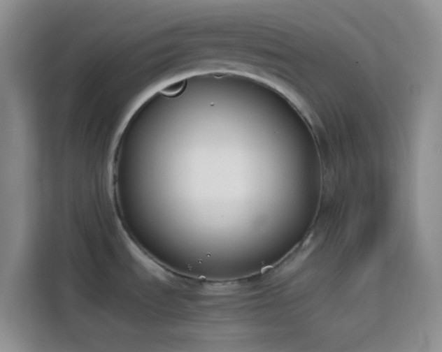 X0000113871535200910011102