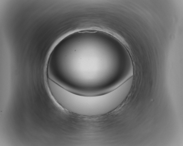 X0000113871536200910011102