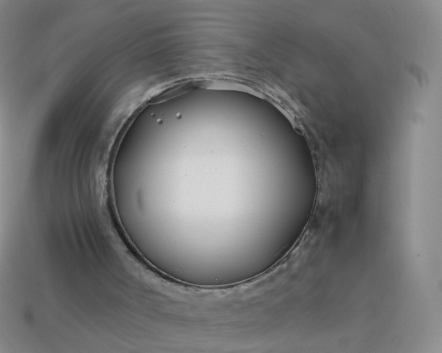 X0000113870002200910081736