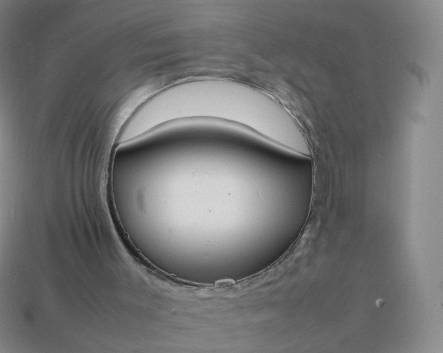 X0000113870003200910081736