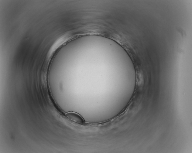 X0000113870004200910081736