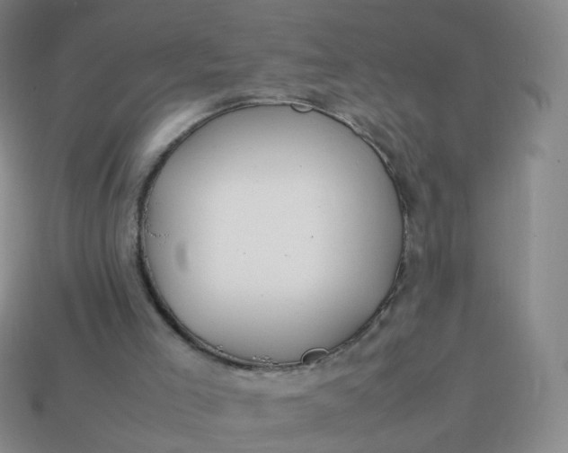 X0000113870005200910081736